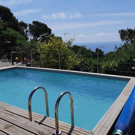 Haut De Villa Au Mont St Clair Vue Exceptionnelle Mer Et Foret Terrasses, Piscine, Petanque, Solarium Prives Sete Ngoại thất bức ảnh