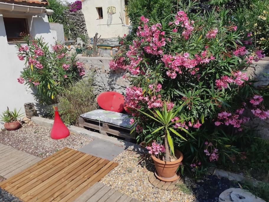 Haut De Villa Au Mont St Clair Vue Exceptionnelle Mer Et Foret Terrasses, Piscine, Petanque, Solarium Prives Sete Ngoại thất bức ảnh