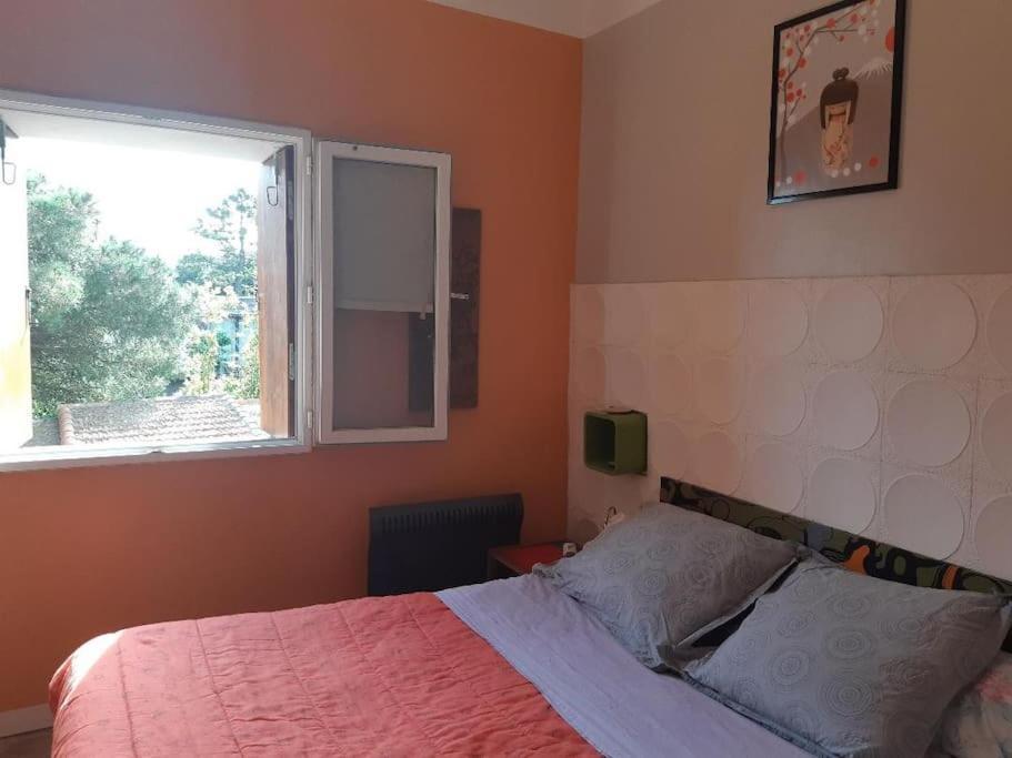 Haut De Villa Au Mont St Clair Vue Exceptionnelle Mer Et Foret Terrasses, Piscine, Petanque, Solarium Prives Sete Ngoại thất bức ảnh