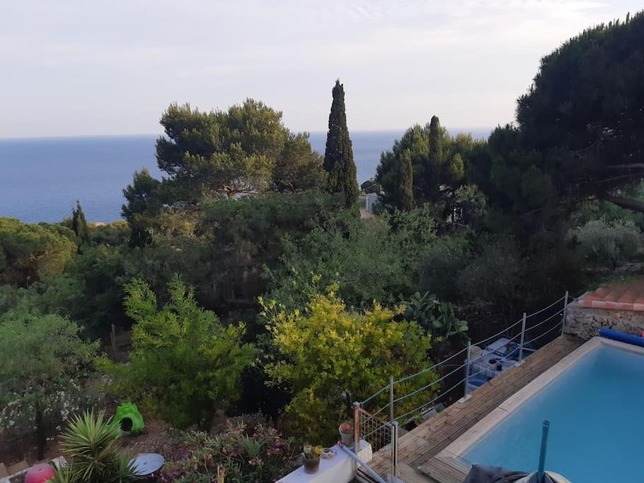 Haut De Villa Au Mont St Clair Vue Exceptionnelle Mer Et Foret Terrasses, Piscine, Petanque, Solarium Prives Sete Ngoại thất bức ảnh